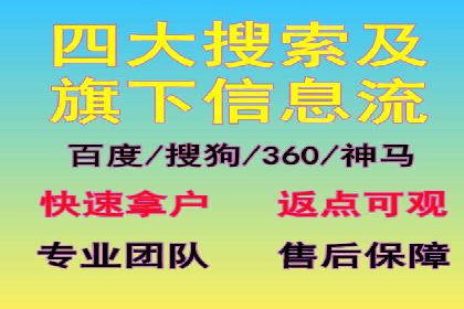 SEM主管实战：案例分析与优化策略